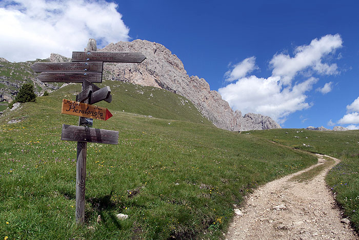gallery_04