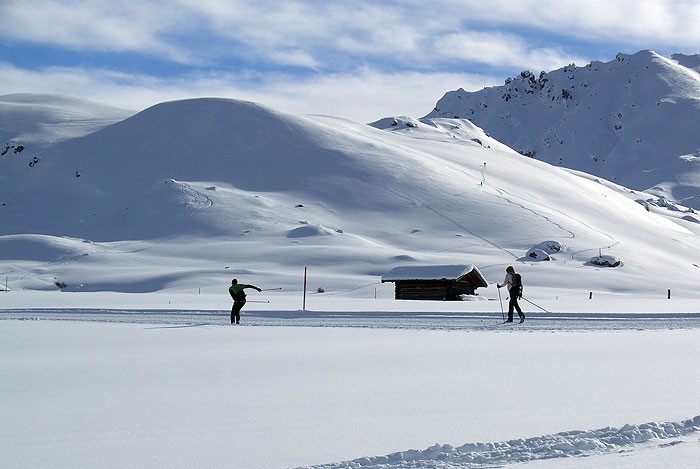Full Moon Cross country Skiing Full Moon Cross country Skiing