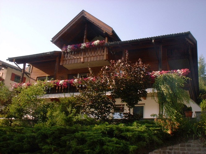 Apartments Alex