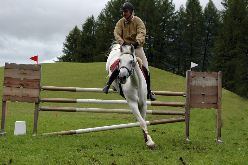 Reiten