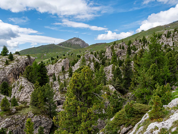 Naturonda